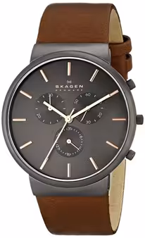 skagen skw6106 watch