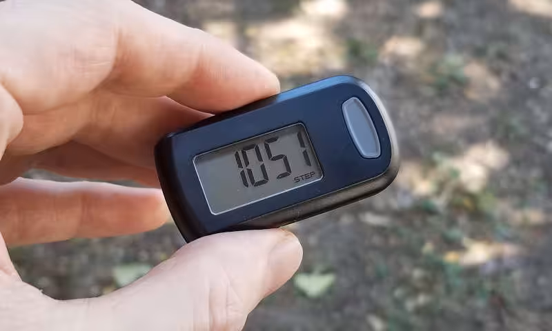 pedometer 10 minutes