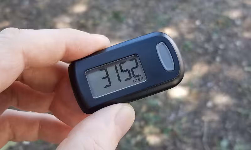 pedometer 30 minutes