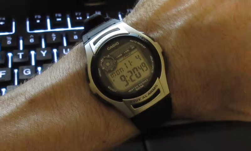 casio w213 watch