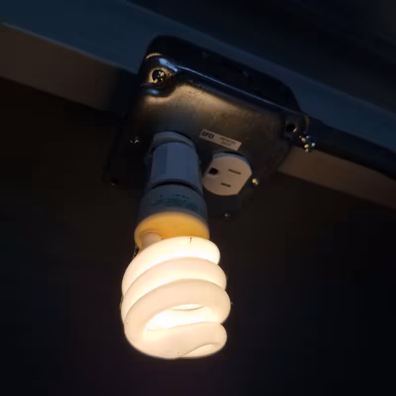 cfl bulb