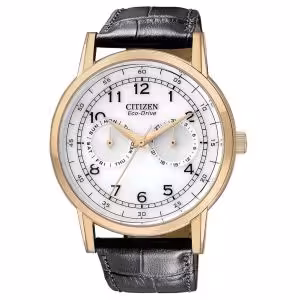Citizen AO9003