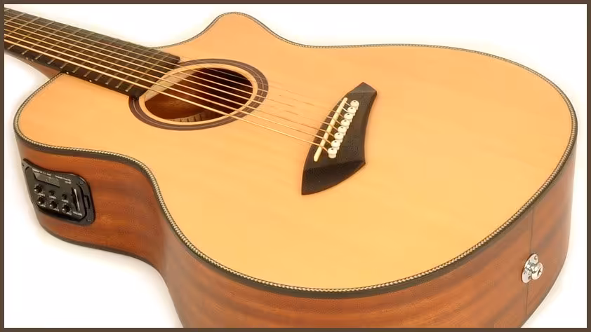 agile renaissance 8x acoustic electric guitar