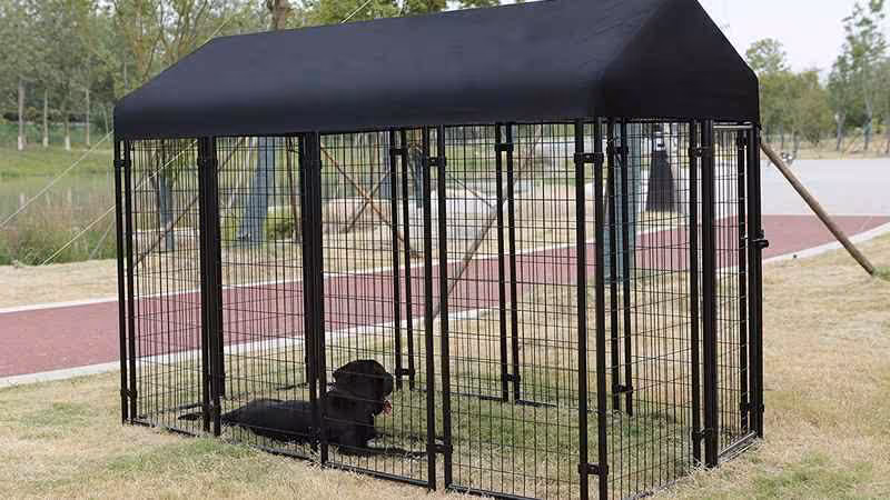 welded outdoor wire crate kennel
