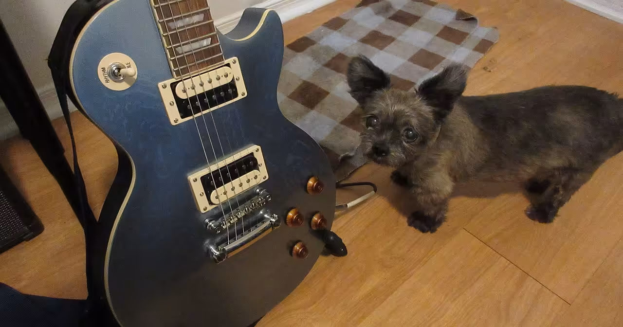 epiphone les paul traditional pro iii