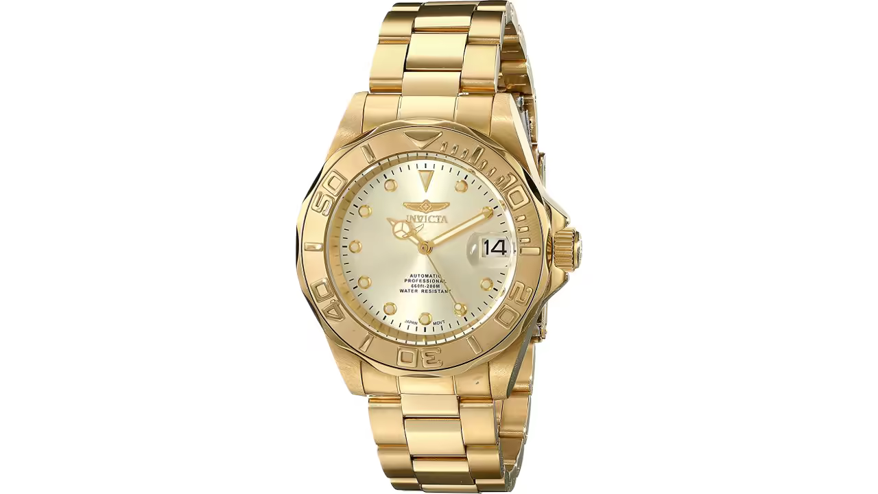 invicta 17054 pro diver automatic