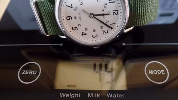 timex weekender watch
