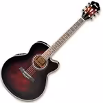 ibanez ael20ent