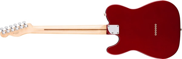 Fender Deluxe Tele Thinline Rear