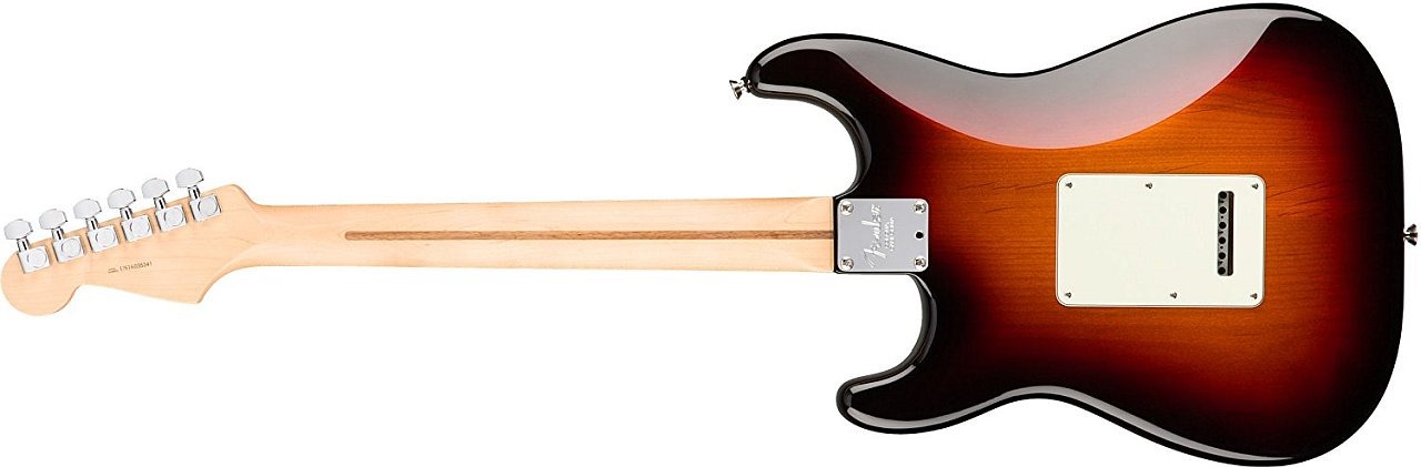 Fender American Professional Stratocaster back